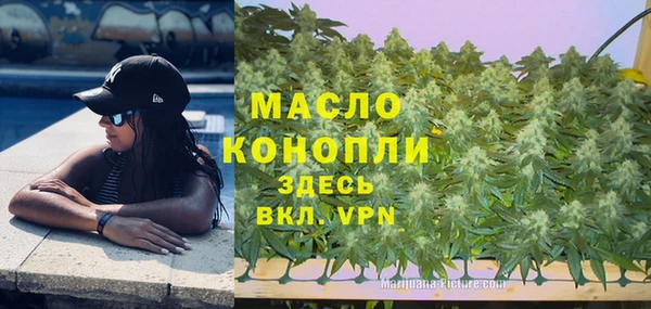не бодяженный Заводоуковск