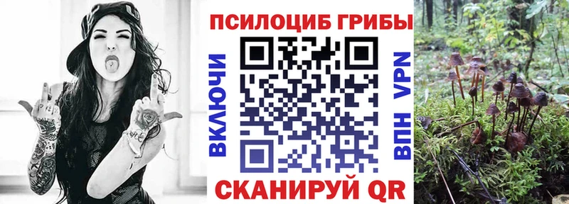 Псилоцибиновые грибы GOLDEN TEACHER  Купить закладки  Новомичуринск 