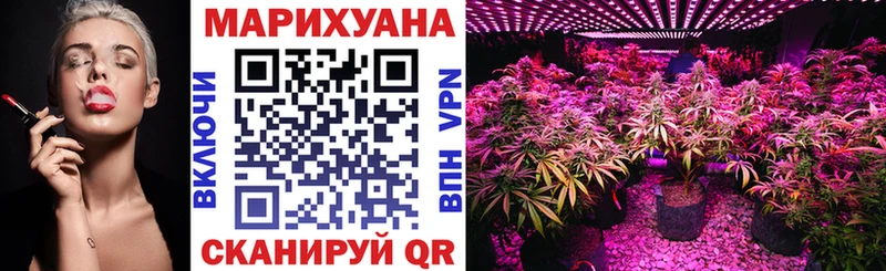 Купить закладки  Новомичуринск  Каннабис LSD WEED 